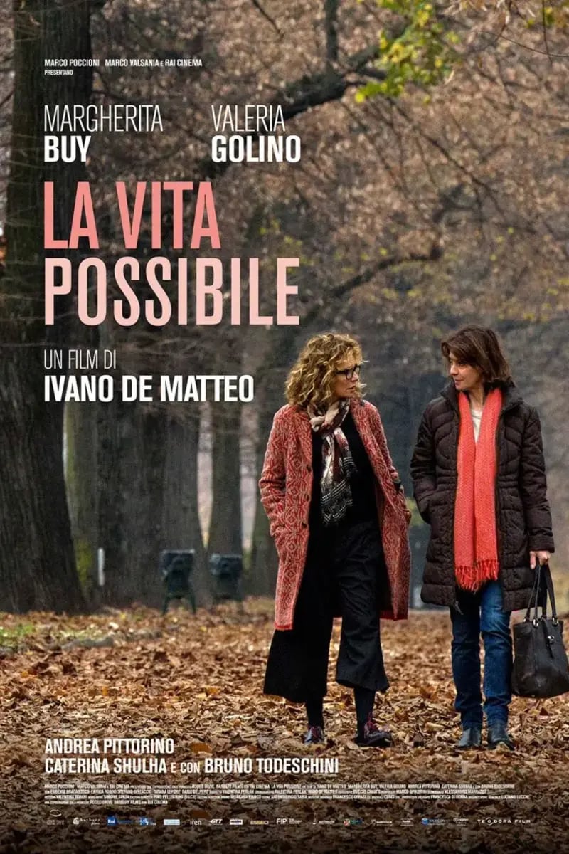 La vita possibile poster