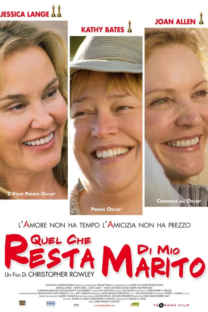 Quel che resta di mio marito poster