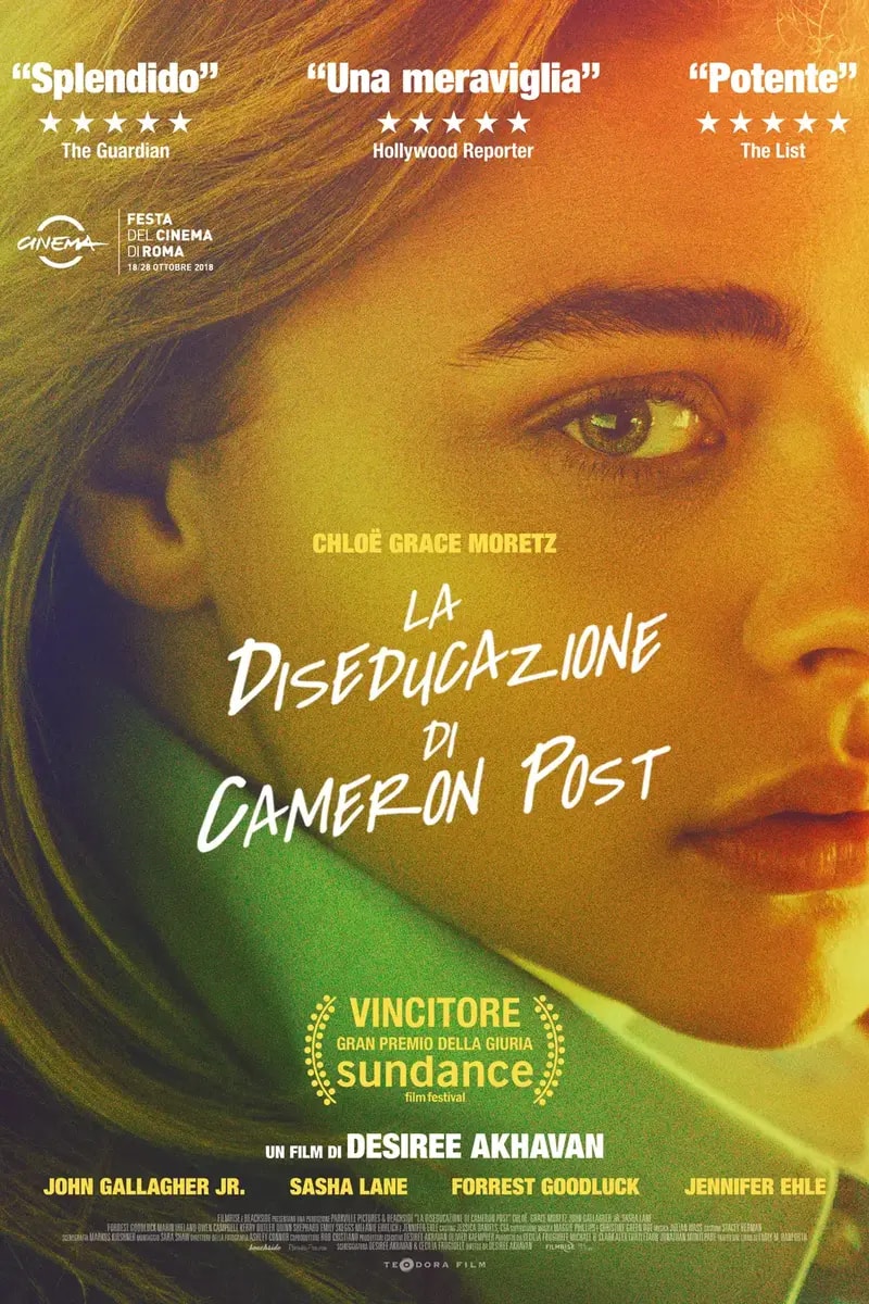 La diseducazione di Cameron Post poster backdrop